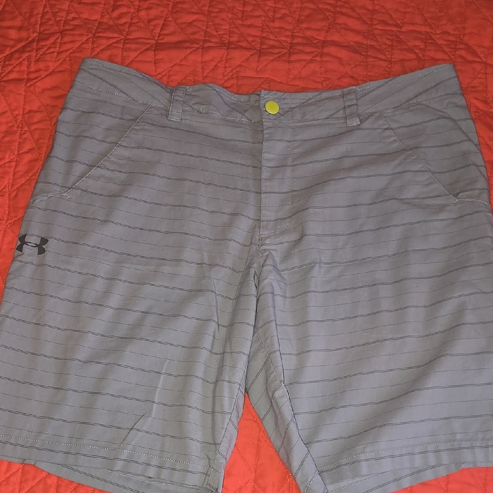 Under Armour Gray Striped Shorts